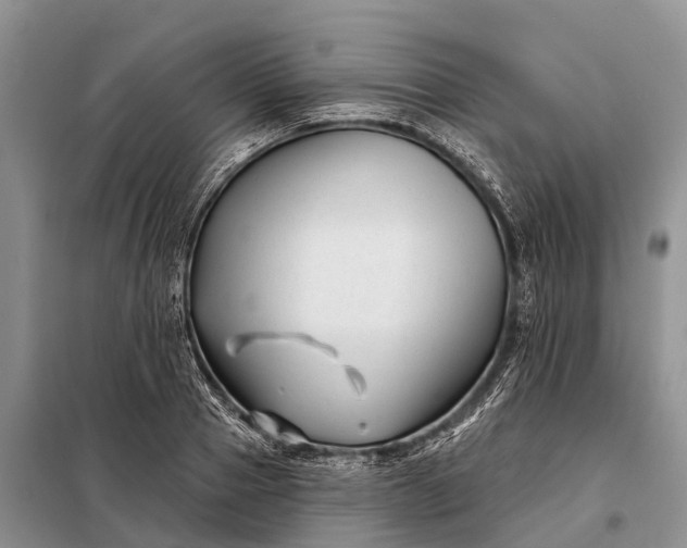 X0000097970937200804071054