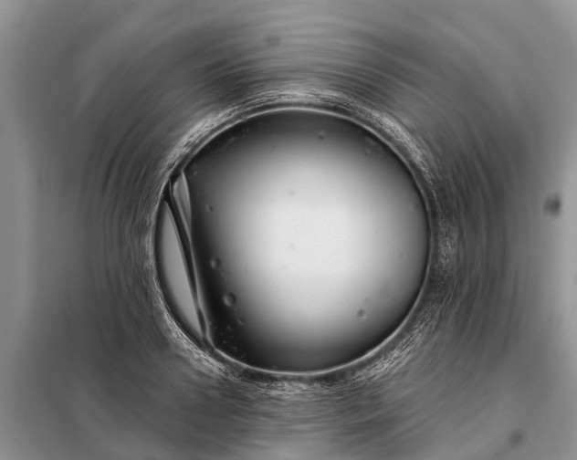 X0000097970938200804071054