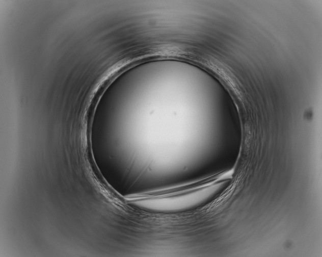 X0000097970939200804071054