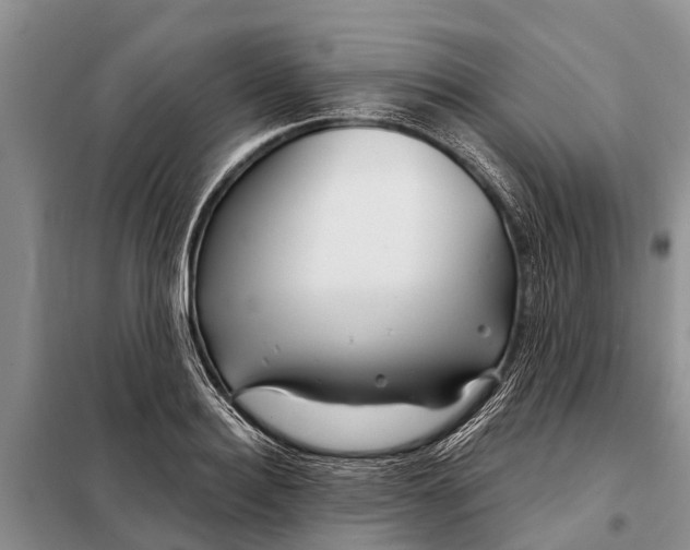 X0000097970940200804071054