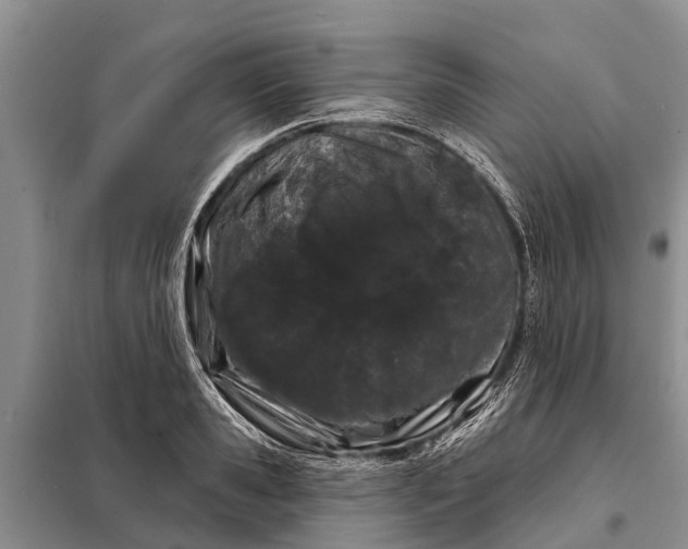 X0000097970941200804071054