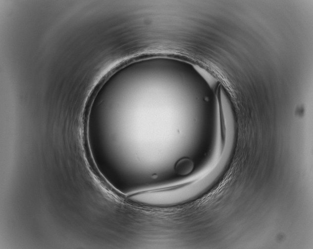 X0000097970942200804071054