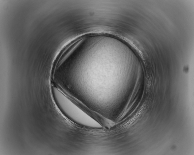 X0000097970943200804071054