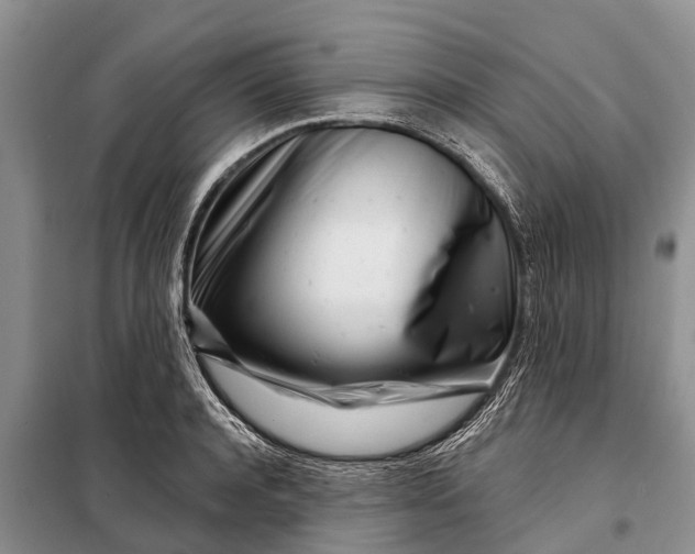 X0000097970944200804071054