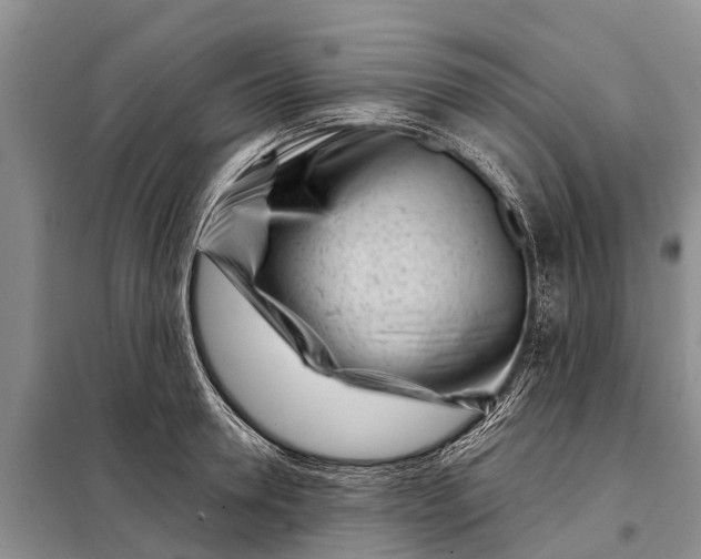 X0000097970946200804071054