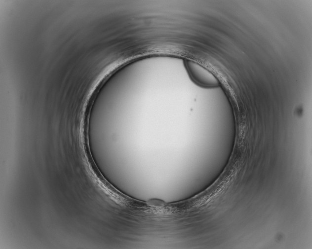 X0000097970947200804071054