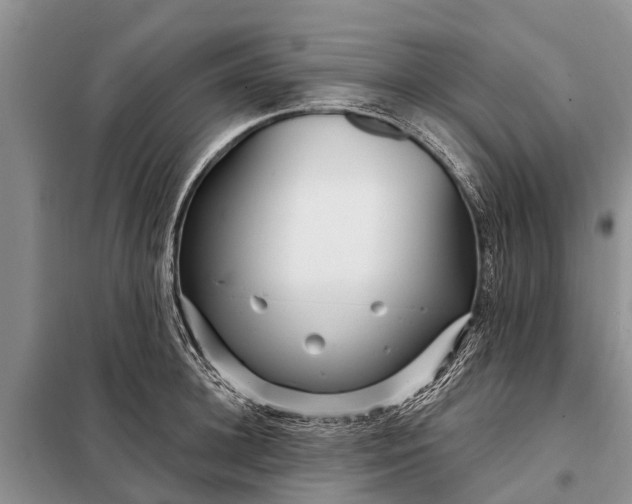 X0000097970948200804071054