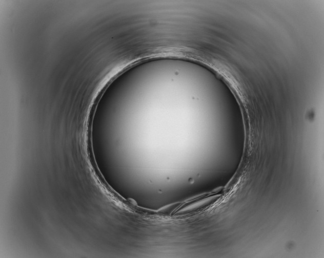 X0000097970949200804071055