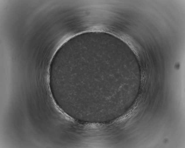 X0000097970950200804071055