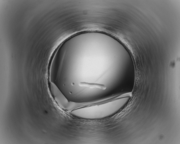 X0000097970951200804071055