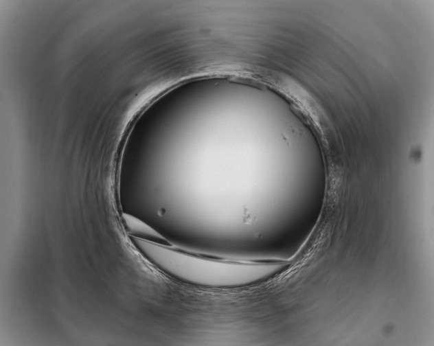 X0000097970952200804071055