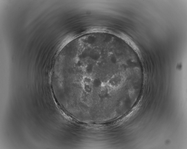 X0000097970953200804071055