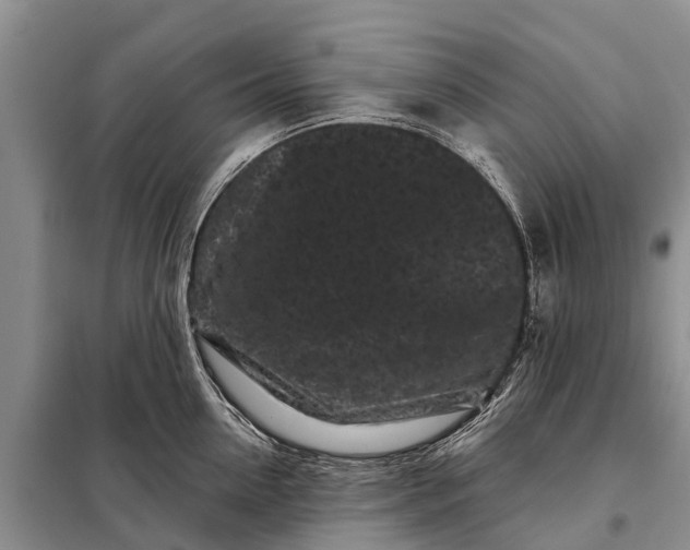 X0000097970954200804071055