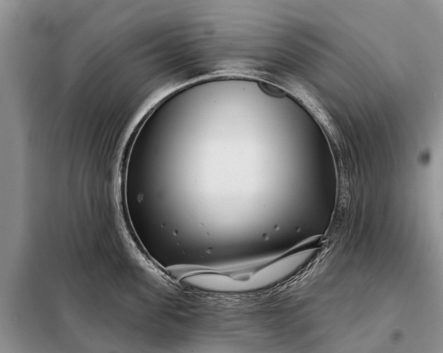 X0000097970955200804071055