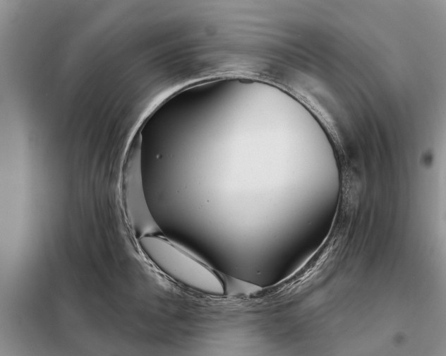 X0000097970956200804071055