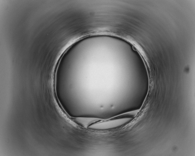 X0000097970957200804071055