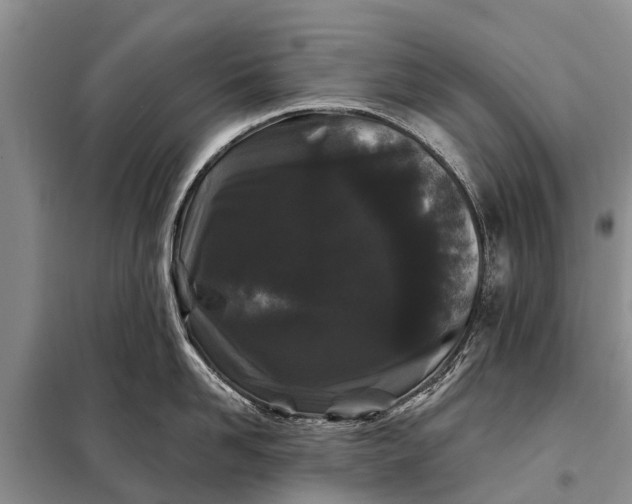 X0000097970958200804071055