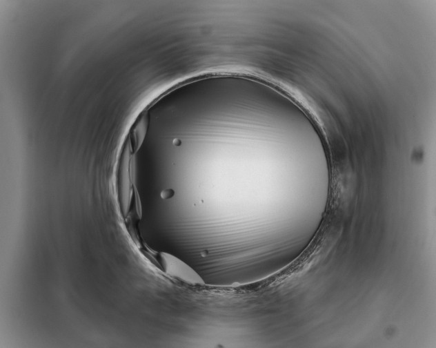 X0000097970959200804071055