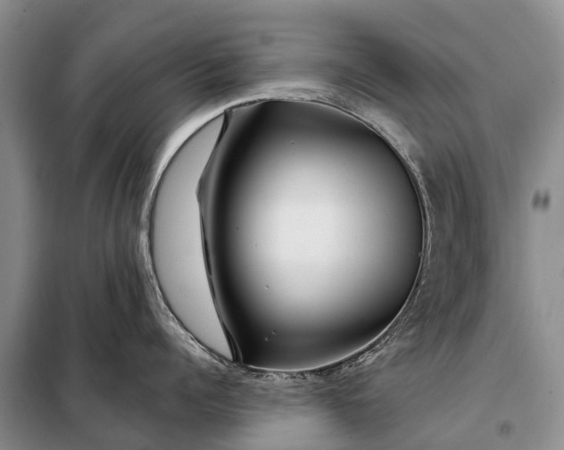 X0000097970960200804071055