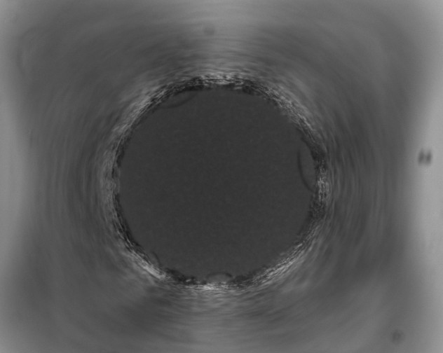 X0000097970961200804071054