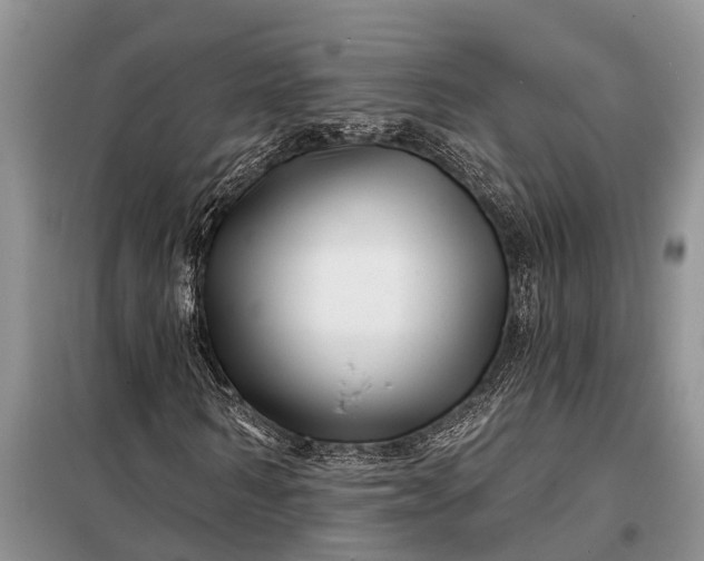 X0000097970962200804071054