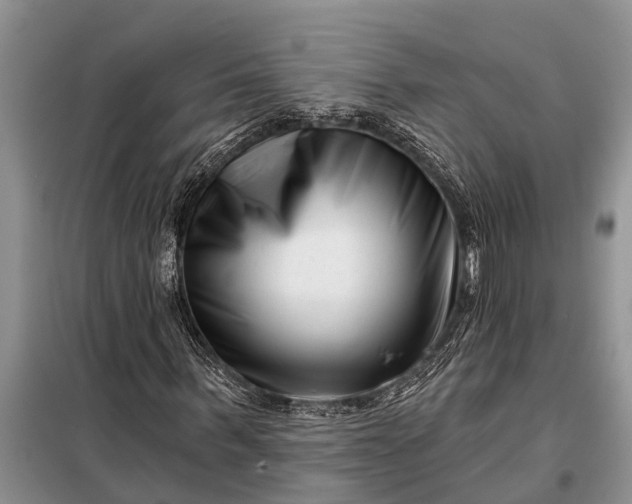 X0000097970963200804071054