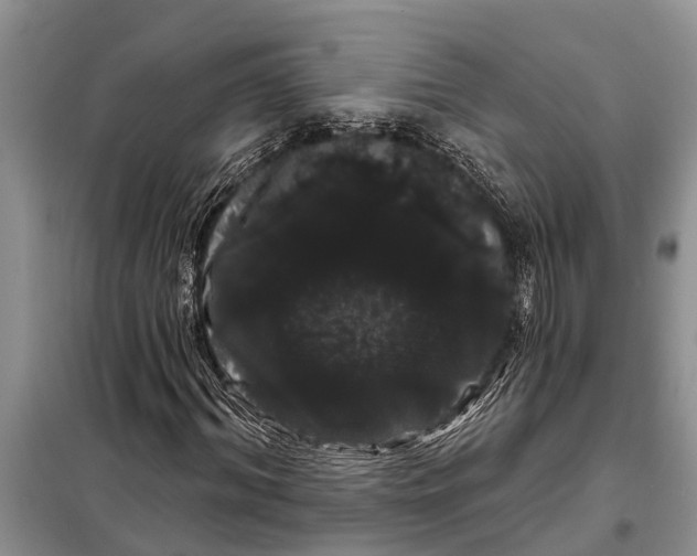 X0000097970964200804071054