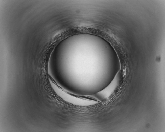 X0000097970965200804071054