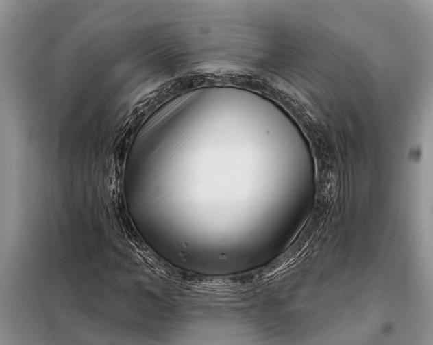 X0000097970966200804071054