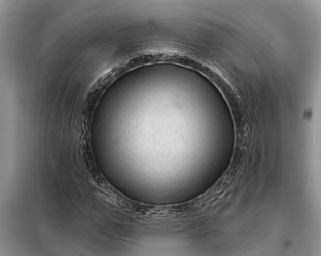 X0000097970967200804071054