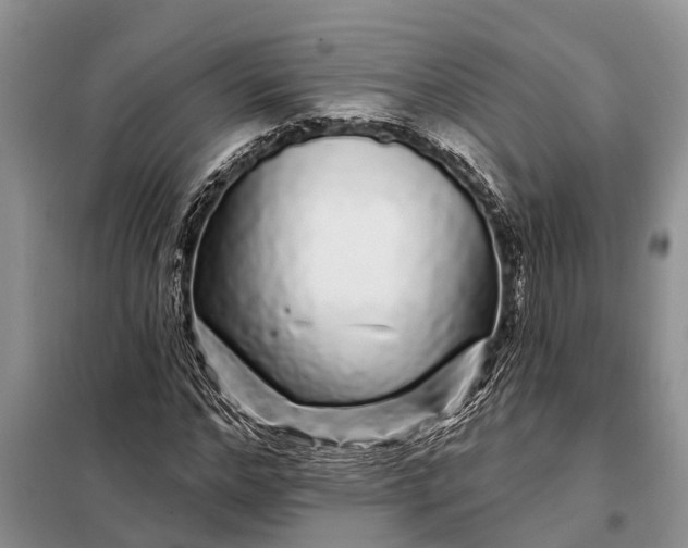 X0000097970968200804071054