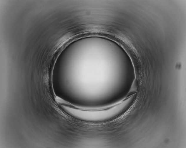 X0000097970969200804071054