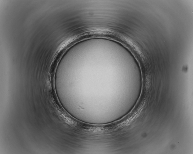 X0000097970970200804071054