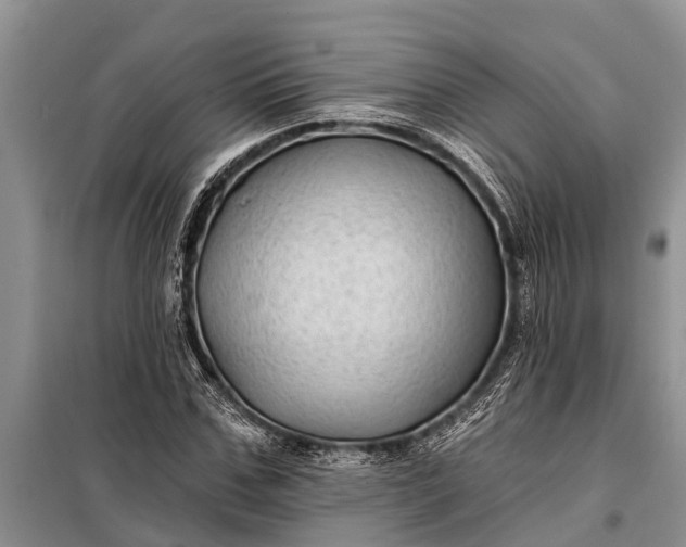 X0000097970971200804071054