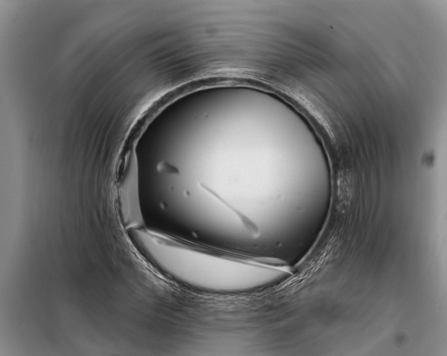 X0000097970972200804071054