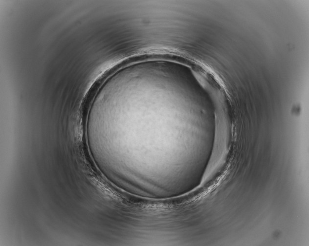 X0000097970973200804071054