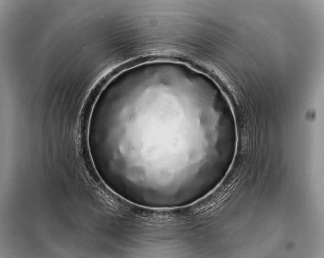 X0000097970975200804071054