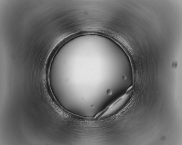 X0000097970976200804071054