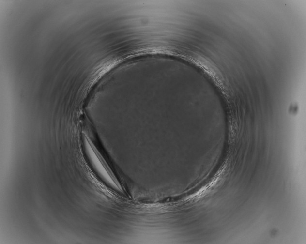 X0000097970977200804071054