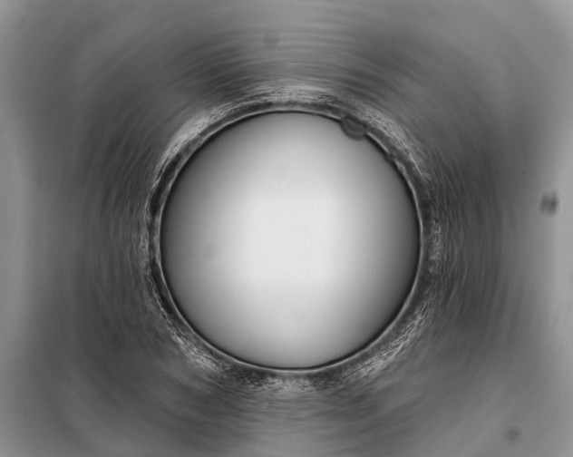 X0000097970978200804071054