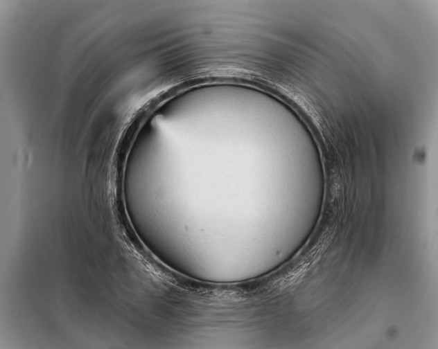 X0000097970979200804071054