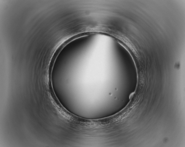 X0000097970980200804071054