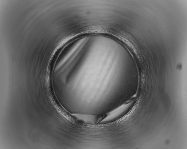 X0000097970981200804071054