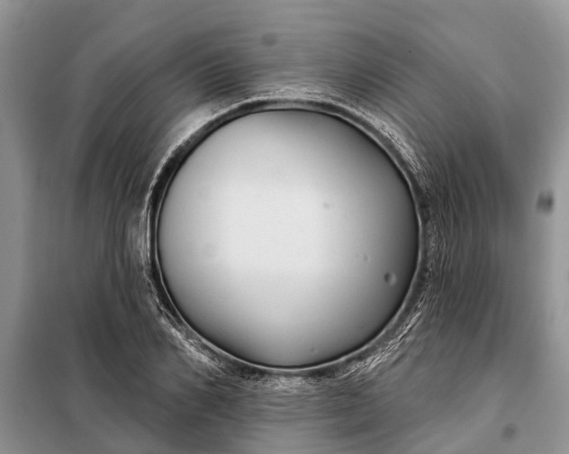 X0000097970982200804071054