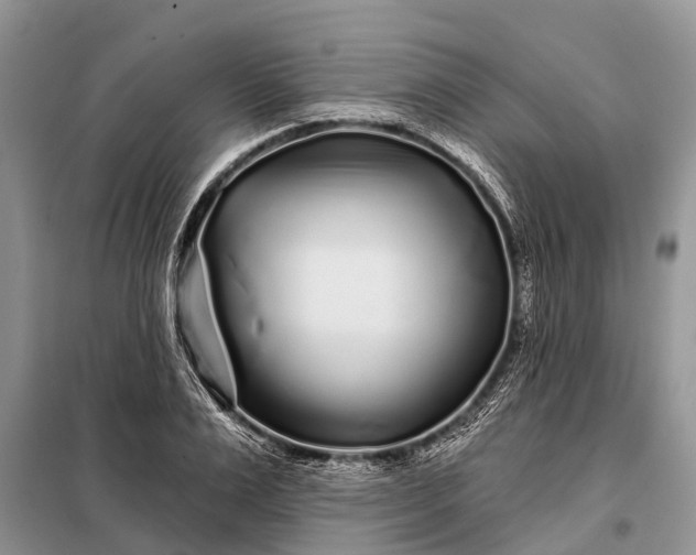 X0000097970983200804071054