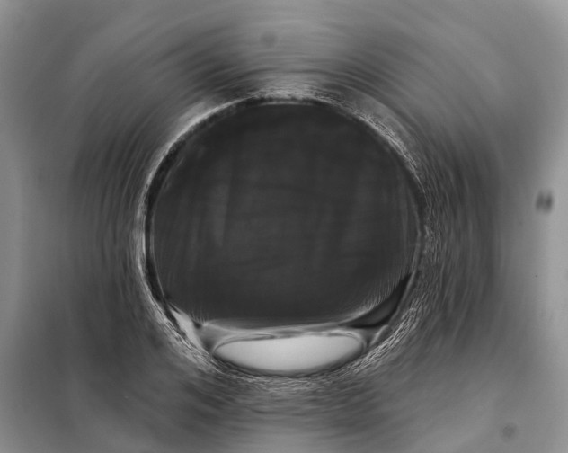 X0000097970984200804071054