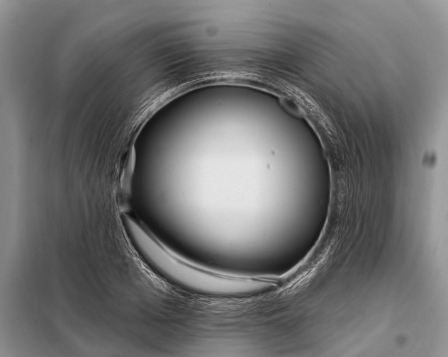 X0000097970985200804071053