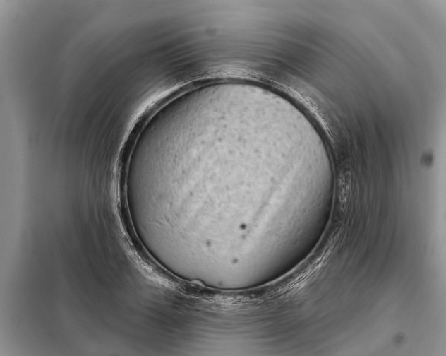 X0000097970987200804071053