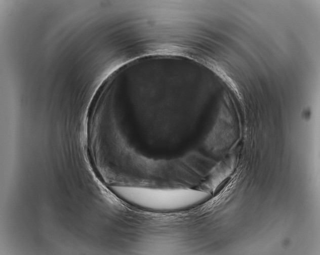 X0000097970988200804071053