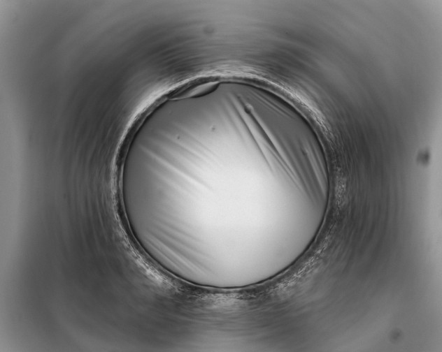 X0000097970990200804071053